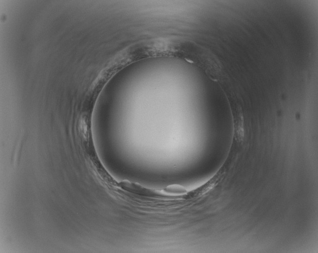 X0000053090715200507111157