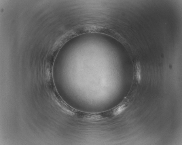 X0000053090716200507111157