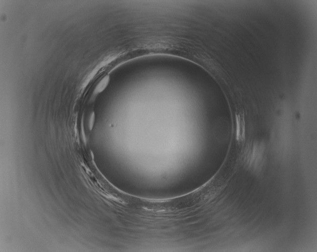 X0000053090723200507111156