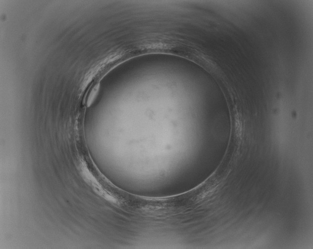 X0000053090725200507111156