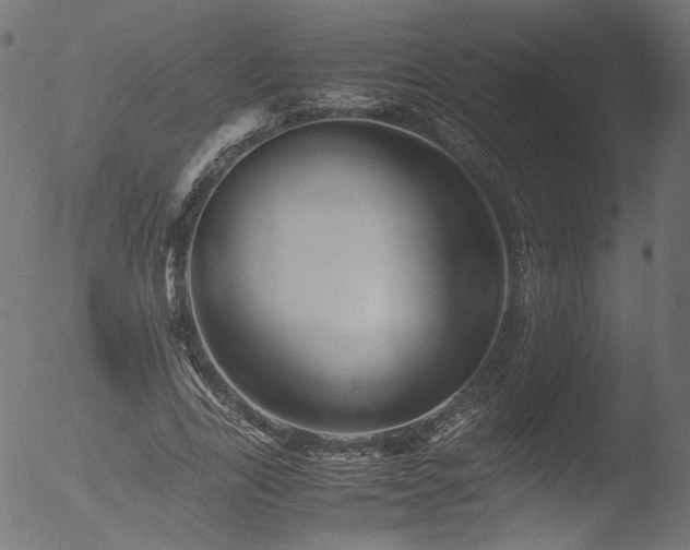 X0000053090731200507111156