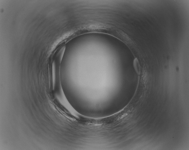 X0000053090732200507111156