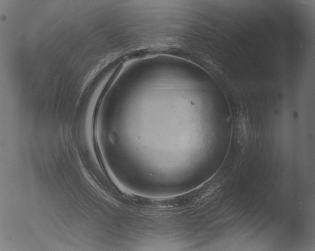 X0000053090734200507111156