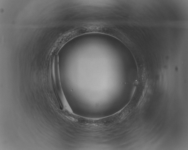 X0000053090737200507111156