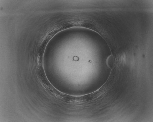 X0000053090739200507111156