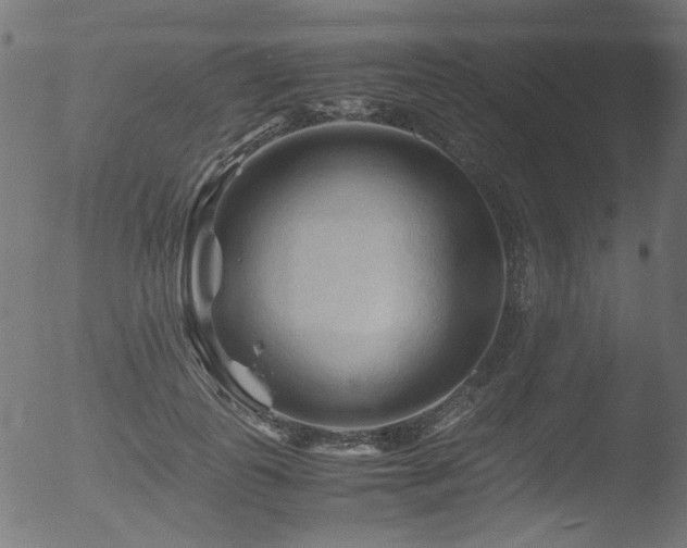 X0000053090747200507111156