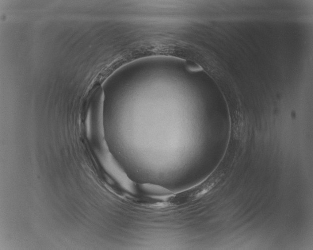 X0000053090748200507111156