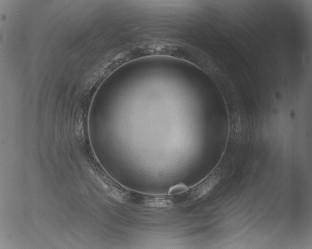 X0000053090754200507111157