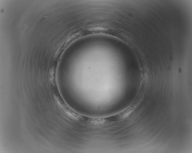 X0000053090767200507111157