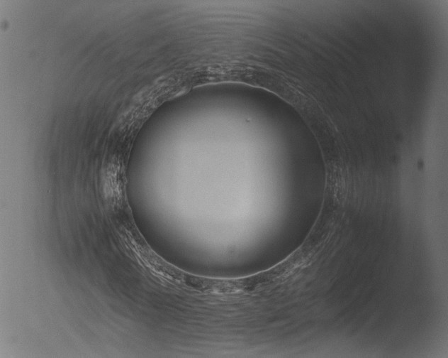 X0000053090770200507111156