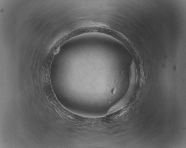 X0000053090775200507111156