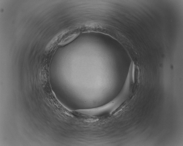X0000053090776200507111156