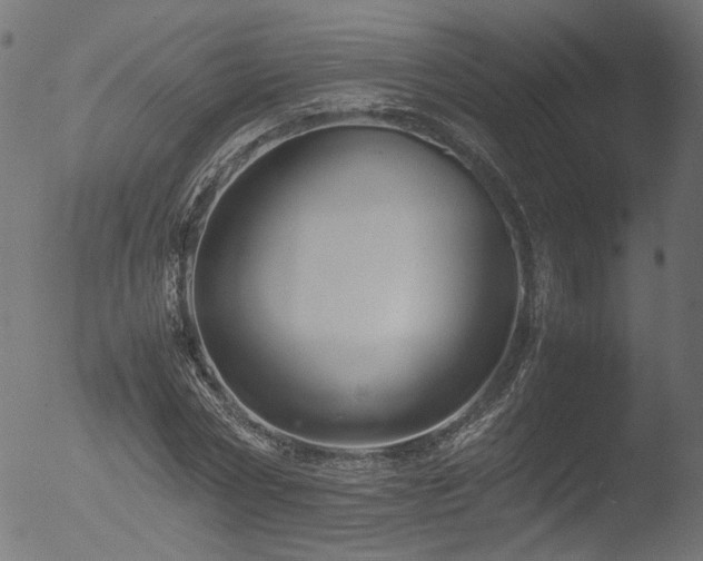 X0000053090778200507111156