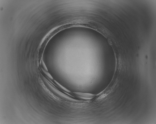 X0000053090784200507111156