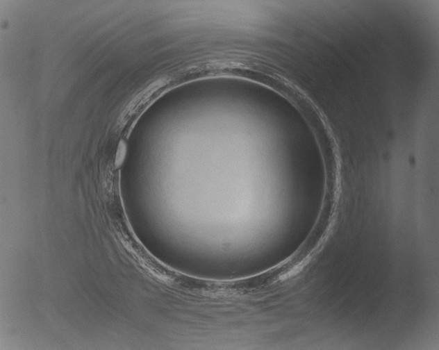 X0000053090785200507111156