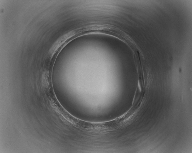 X0000053090786200507111156