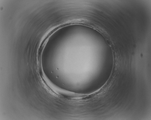 X0000053090792200507111156