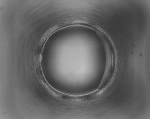 X0000053090793200507111156