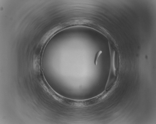 X0000053090794200507111156