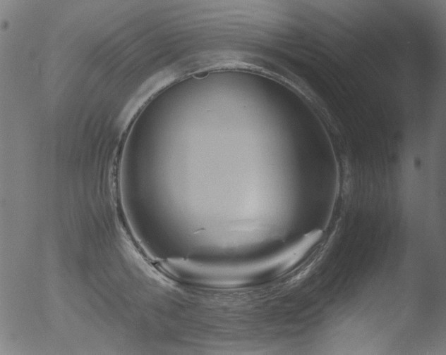 X0000053090806200507111155