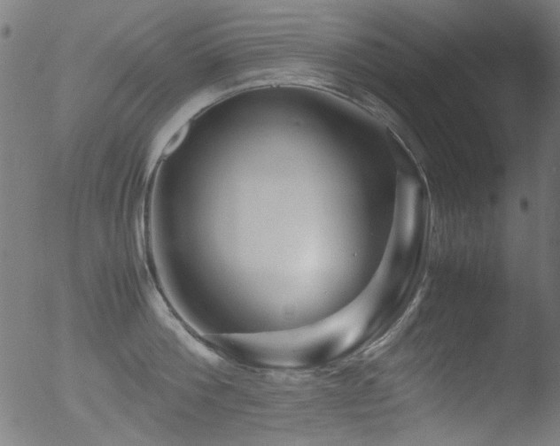 X0000053090812200507111155
