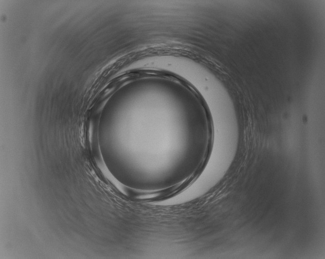 X0000053090822200507111154