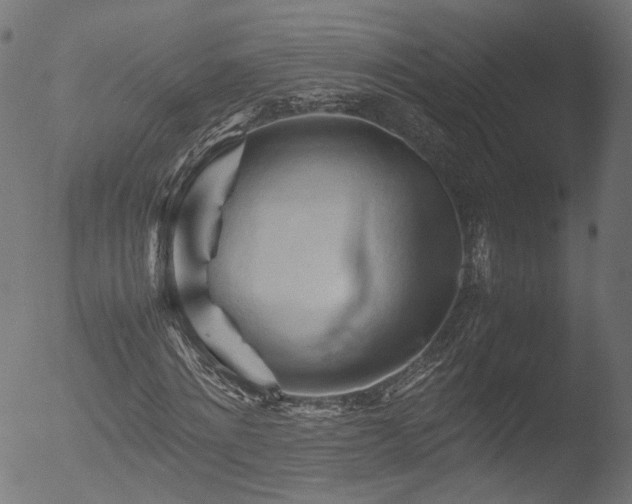 X0000053090868200507111154