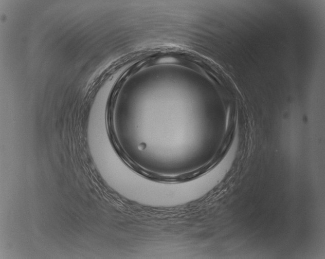 X0000053090871200507111154