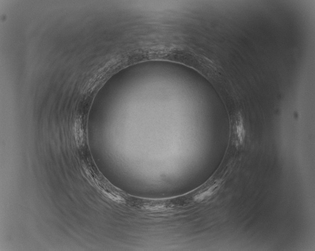 X0000053091252200507111148