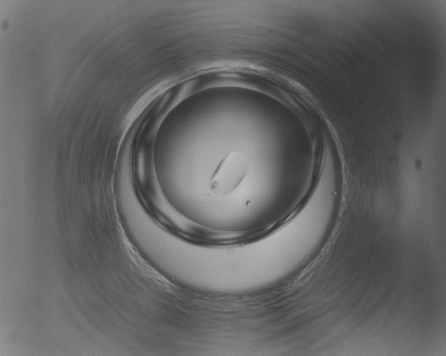 X0000053091330200507111147