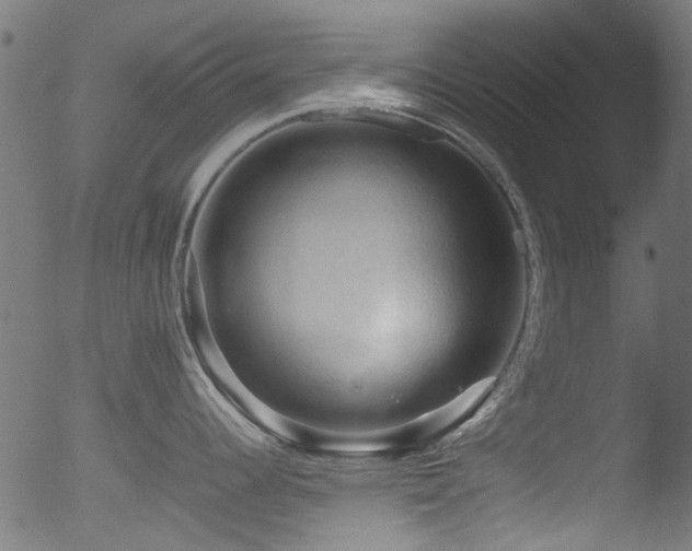 X0000053091344200507111147