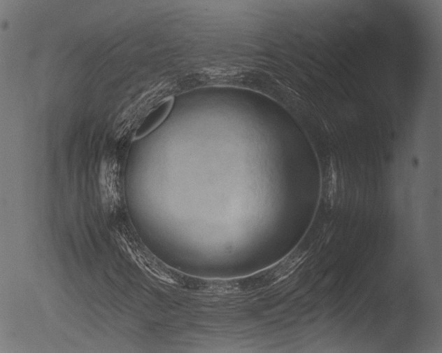X0000053091346200507111146
