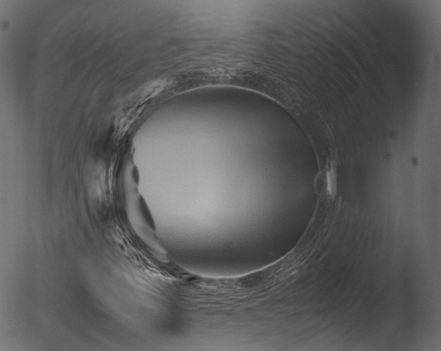 X0000053091347200507111146