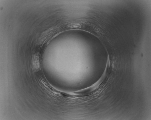 X0000053091442200507111144