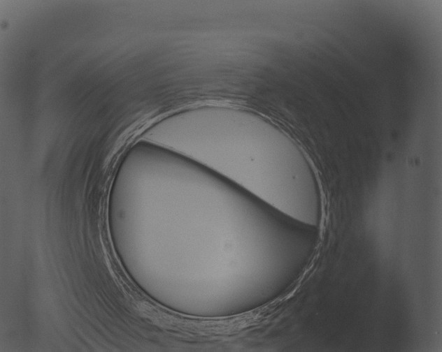 X0000053090001200507181731