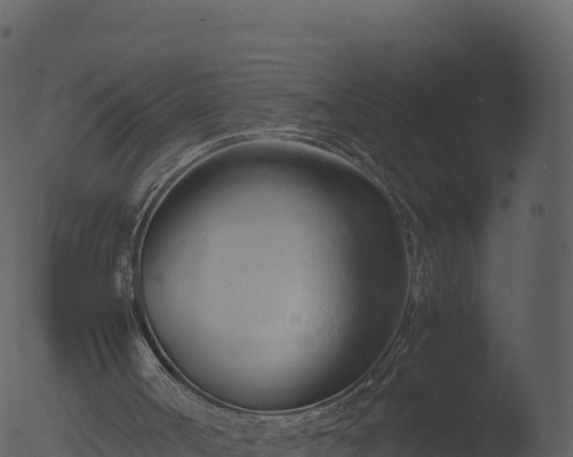 X0000053090002200507181731