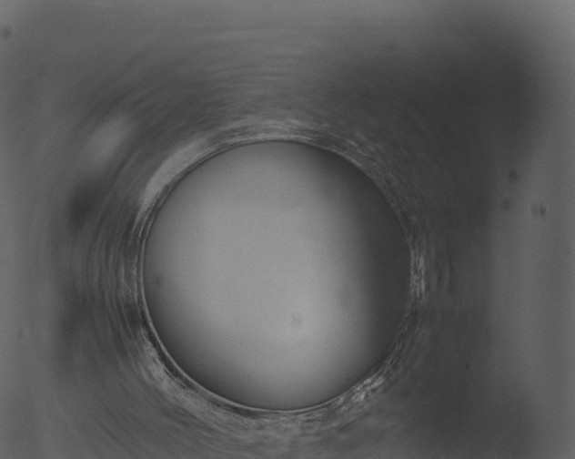 X0000053090004200507181731