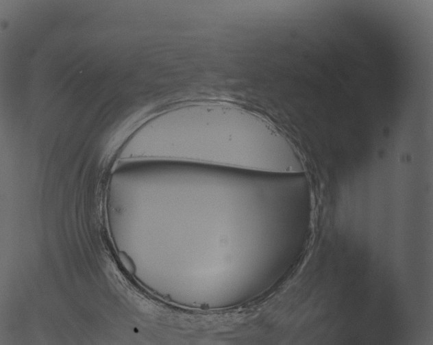 X0000053090005200507181731