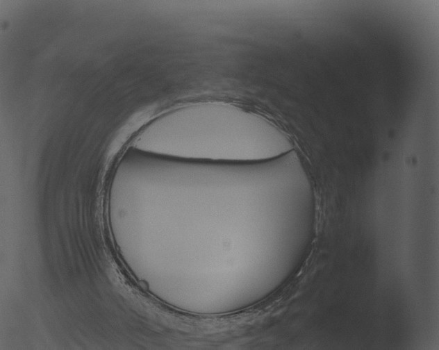 X0000053090006200507181731