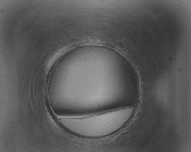 X0000053090007200507181731