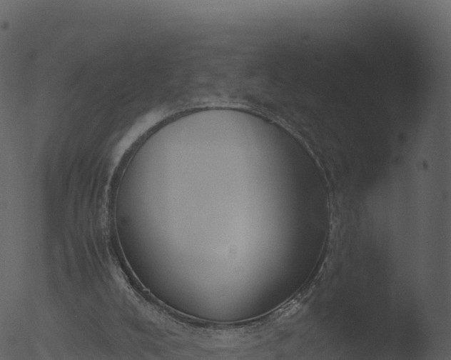 X0000053090008200507181731