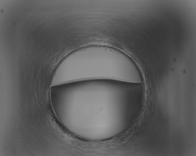 X0000053090009200507181731