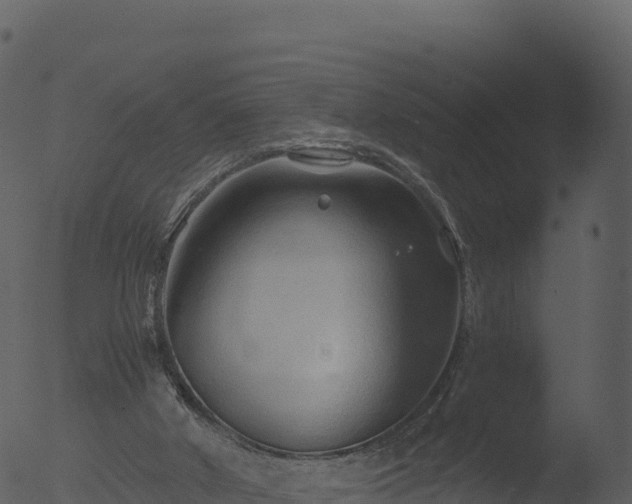 X0000053090010200507181731