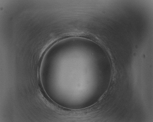 X0000053090011200507181731