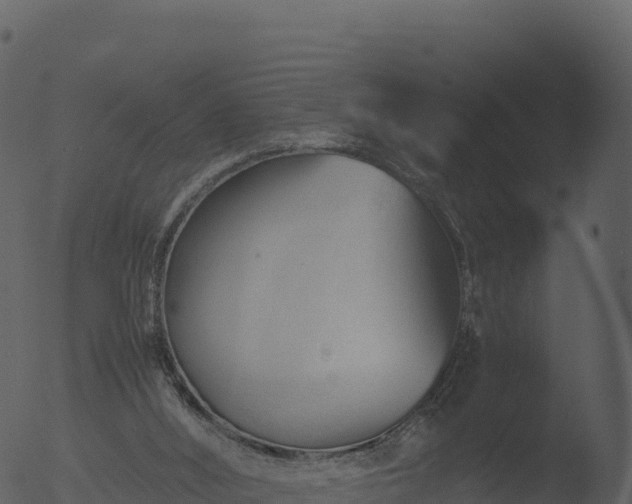 X0000053090012200507181731