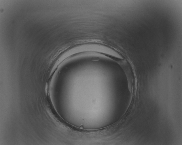 X0000053090013200507181731