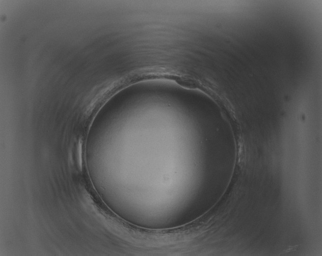 X0000053090014200507181731