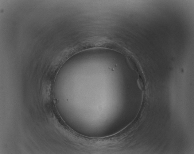 X0000053090018200507181730