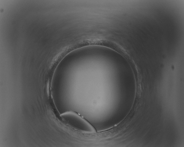 X0000053090019200507181730