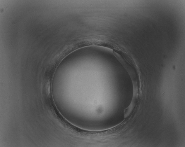 X0000053090021200507181730